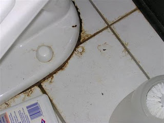 toilet leak around base
